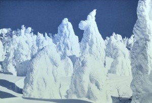２月　蔵王　坊平頂上の樹氷